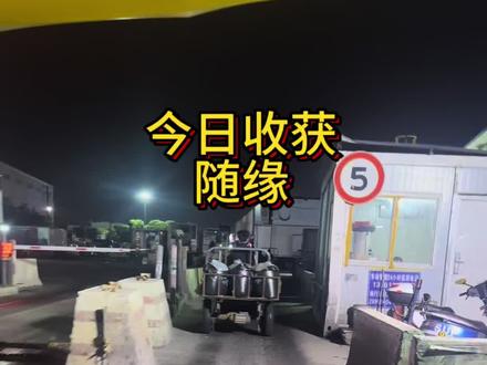 今日收获:看啥吃啥#vlog日常 #省钱 #美食 #解压