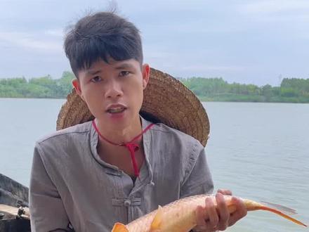 江里捕到的“黄肉大鲤鱼”做鱼生,金黄色的肉、鲜、甜、嫩!吃生是我们这边当地的一种食俗,说一说你们当地特色美食吧!#我的乡村生活 #鱼生 #当地特色美食 #户外捕鱼 #黄肉鲤鱼