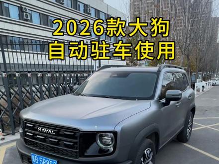 2026款大狗自动驻车使用#哈弗大狗 #哈弗大狗2026款 #城市越野双标杆