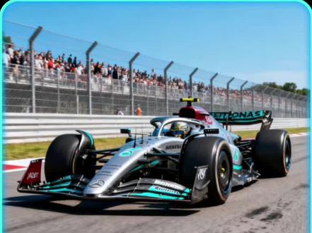 经常开F1的老铁,这种轮胎一个多少钱呢#f1