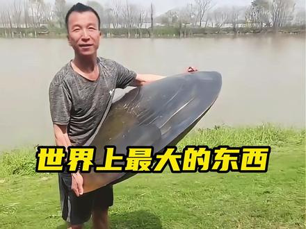 世界上最大的东西你都知道几个? #震惊 #巨物 #离谱 #百科知识