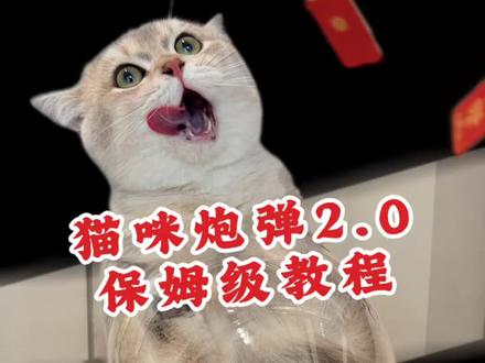 猫咪炮弹(红包版)保姆级教程来了,手把手喂饭。不管拍不拍,赶紧先收藏⭐️#猫咪炮弹教程 #萌宠发射教程#猫咪炮弹 #萌宠发射 #剪映视频制作