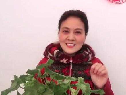 直播间管理员权限如何设置?不会的看过来#直播经验交流 #直播创业 @DOU+小助手