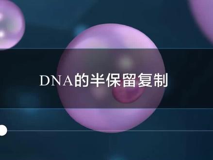 DNA的半保留复制(人教视频)
