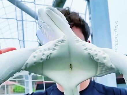 为什么足球守门员的手套是粘的? #足球 #科普一下