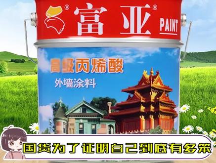 国货为了证明自己到底有多笨!!#国货 #真实 #实在 #涂料