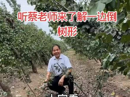 来咱们一起来了解一边倒树型#刷到的朋友开心快乐每一天 #果树管理 #果树修剪 #不嫌弃农村人扣个爱心 @DOU