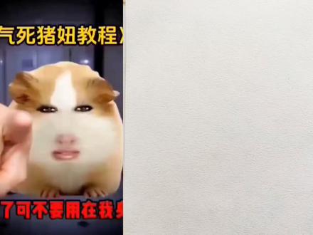 一秒气死猪妞#猪妞#简笔画@抖音创作小助手 @抖音青少年