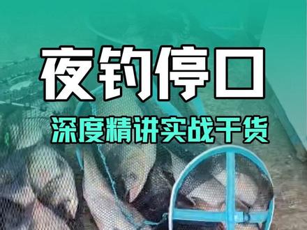 白天守钓无口,入夜立刻停口,多数人栽在水质上
#黑坑天黑停口 #实战干货深度精讲 #无限回锅鱼钓法 #山体水库钓鱼 #偷驴实战技巧