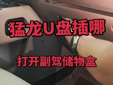#长城猛龙PLUS 行车记录仪U盘插哪里?