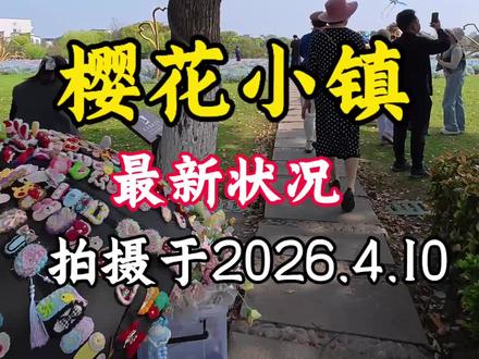 樱花小镇最新状况,拍摄于2026.4.10#旅行风景 樱花小镇最新状况,拍摄于2026.4.10#旅行风景 #樱花小镇#樱花#樱花小镇最新状况