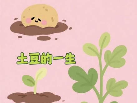 孩子们也要学会如何使用Ai制作完成作业#万物生长