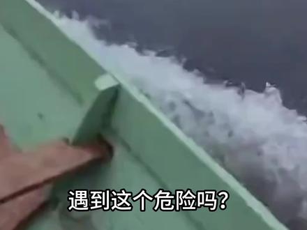 野外遇到这些东西,一定要小心 #野生动物 #保护动物 #危险瞬间 #龙卷风