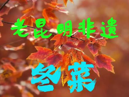 腌冬菜
冬菜,全国都腌,有叫盐菜的、有叫梅菜的、有叫雪菜的……老昆明腌的和其它差不多,不过有独到之处。味道很好。
#滇味 #老昆明 #非遗 #冬菜 #腌咸菜