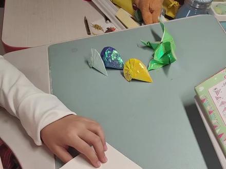 缪宝折纸之
海洋“活化石” 鹦鹉螺~
#手工diy #制作过程 #做个很哇塞的女孩