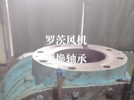罗茨风机更换轴承#罗茨风机维修