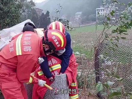“太有灵性了!”5月13日,广西,一头小黄牛跑到消防站,对着正在训练的消防员哞哞叫