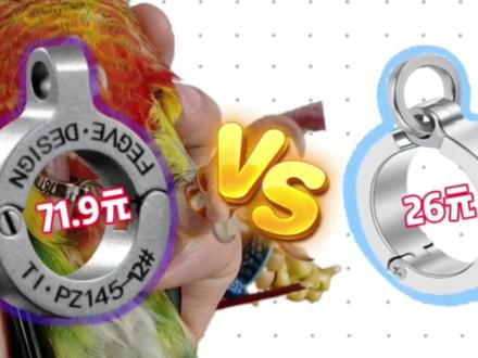 花26元打消鸟宝走丢焦虑!买到比71.9元还香的鹦鹉脚!安装轻松,鸟宝不记仇,刻了重金寻回和电话号码,以防小鸟走丢!所以买东西不是越贵越好!#鹦鹉 #鹦鹉脚环 #宠物知识