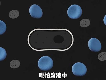 绝对不能转生的动物之,中华鲎!不然你将沦为血奴 #动物百科 #鲎 #中华鲎 #神奇动物 #动物科普