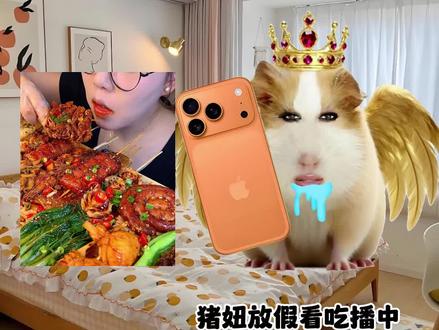 猪妞吃播第三十五集,你会支持猪妞嘛! #猪妞小剧场 #猪妞 #猪妞日常