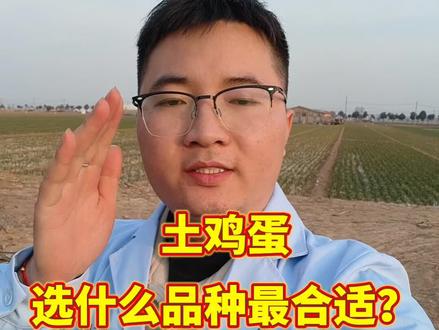 农村卖土鸡蛋选什么品种? #养殖 #养鸡 #土鸡蛋 #鸡病防治 #生态散养土鸡