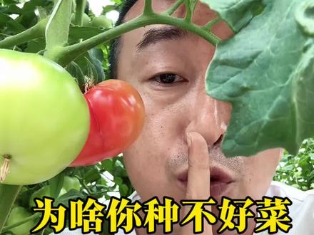 为啥你种不好菜 #种菜知识