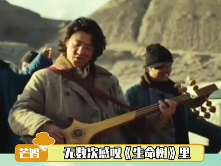 巡山小队 缺一不可!#生命树 #杨紫 #胡歌