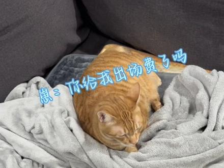 今天去上次卖给我芭比的老奶奶家里买芭比,奶奶名字叫黛安,她大概是七八十岁的年纪了,她从多年前就喜欢收藏芭比,现在年纪大了就想清掉一些,刚好遇上我开始收藏芭比,所以她很慷慨地优惠卖给我这些娃娃,像是一种无形地传承一样
第一次去她家时我给她看我给芭比做的房间,逗得她哈哈大笑,这次她还特意准备了礼物送我,我告诉她我小时候没机会买这些漂亮的娃娃,因为在我们国家售卖芭比不像美国这么普遍,我把芭比分享给很多女孩子看,她们都非常喜欢,于是黛安说下次可以让我参观她的阁楼,拍视频给其他女孩子们看,我逗她说你得小心给我看到你的收藏,我可不会空手回家的
最后黛安和我拥抱并说好下次再见,我也带着我的战利品回家了😌