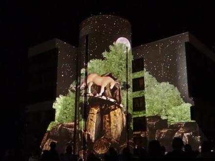 2014年国外的 #3Dmapping 楼体投影 完整版视频分享