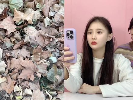 树叶里捡到小绿蛋!里面藏着黑色“毒液小兵”,半夜12点还能复活 #毒液 #手工 #玩具 #寻宝 #玩具总动员