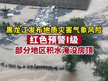 黑龙江发布地质灾害气象风险红色预警I级,部分地区积水淹没房顶!#黑龙江 #暴雨