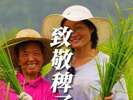 农田里哪些十恶不赦的杂草,换个角度看,也是值得致敬的英雄,致敬稗子,也是致敬在平凡生活中努力拼搏的自己!
你是如何挺过那些难熬的时光,在评论区留下自己的故事吧~ #三农 #新农人 #稗子 #励志文案 #致敬每个为生活努力的人