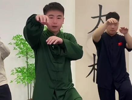 郑老师精讲陈氏四十八式太极散手之退步下按掌