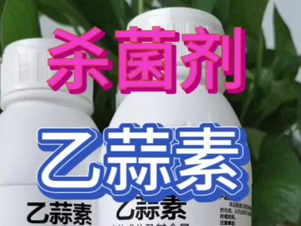 #农资经销 #效果好 四点乙蒜素注意事项和使用禁忌第一个乙蒜素臭味比较大且腐蚀性较强,药液粘到皮肤上会烧伤起泡使用时候一定要注意安全,第二个乙蒜素不能过量使用在西瓜四季豆,番茄等多种蔬菜水果会出现药害特别是苗期容易出现烧苗现象第三个乙蒜素不能与铜制剂铁,碱性农药混用也不能与生物菌肥活性生活农药混用第四个乙蒜素持效期短不建议单独使用应该复配其他杀菌剂使用效果才好比如三唑铜,恶霉灵,丙环唑等