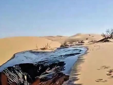 一桶石油能提炼出多少种物质?