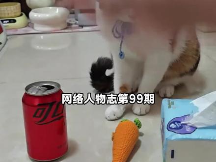 网络人物志——超级无敌大开门 #人物志#抽象#大笨猫#超级无敌大开门#猫咪