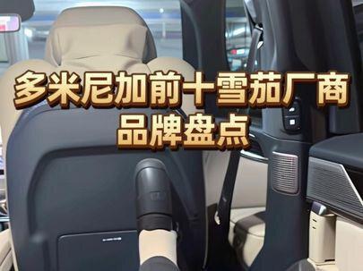 多米尼加前十的厂商有哪些? 多米尼加能选择的相对较少,可能就12,13个里选#雪茄知识 #雪茄文化 #雪茄 #雪茄那点事 #雪茄生活