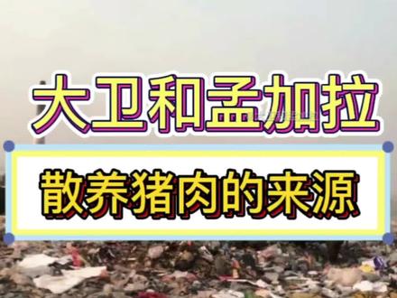 如果你来孟加拉,你想尝尝这散养的猪肉吗#创作灵感 #记录真实生活 #孟加拉国 #海外生活 #日常vlog #日常生活