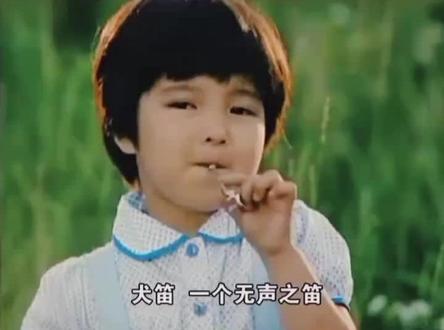 老牌子电影#犬伴一生 #秋津 #良子【犬笛子】