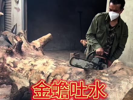 木头里有个金蟾吐水? #创作灵感 #根雕 #茶台 #茶桌茶台 #纯手工雕刻