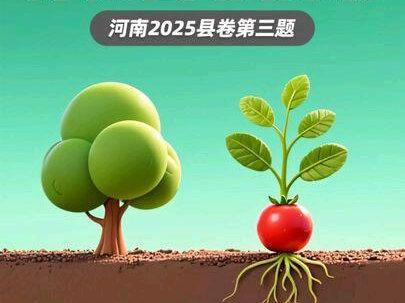 河南2025县卷第三题,种树而非摘果#申论干货 #河南省考