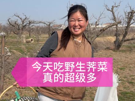 这种野生荠菜真的超级超级好吃 #神奇的闲鱼 #春天的美食来自田野 #我为家乡农产品代言 #纯天然生态食品 #纯天然绿色食品