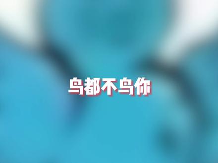 鸟都不鸟你表情包是怎么来的?#表情包 #搞笑 #抽象 #梗