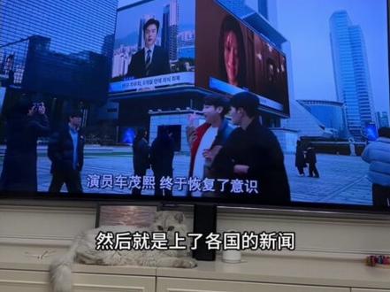 无语韩剧能不能行这老爱情怎么翻译
韩国导演总在这暗戳戳的干啥无语#爱情怎么翻译 #韩剧 #吐槽 #就想说点大实话 #哈尔滨