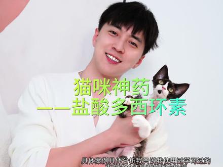 猫猫病病大多的就是哪几种处理办法也不多,重点是要有很多的发现综合考虑。今天先跟大家讲我们猫舍的必备药品,盐酸多西环素。#科学养宠攻略 #新手养猫 #宠物知识小课堂 #希望这条视频能帮助到你 #内容过于真实 #干货分享