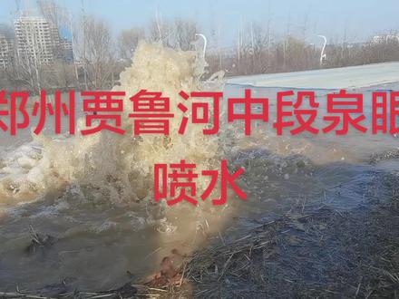 继贾鲁河源头喷水之后,中段多个位置泉眼相继喷水。#贾鲁河