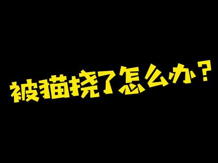 被猫抓伤后伤口的处理方法#小姜是兽医 #机智的兽医生活