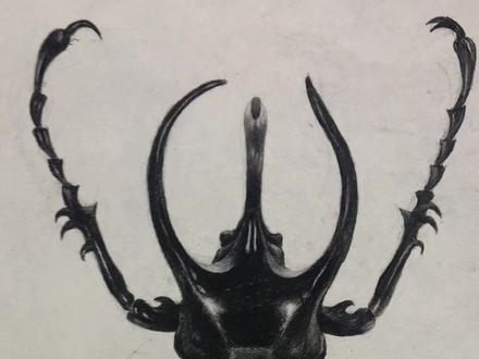 浅画一下大水牛吧!#海豚知道 #精微素描 #零基础学画画