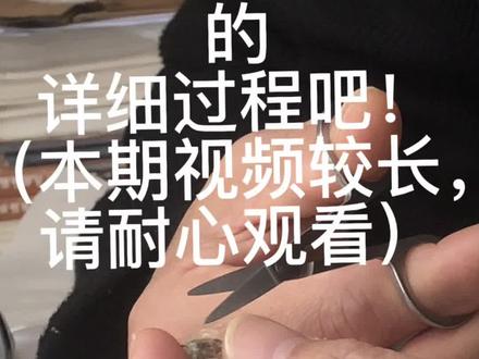 小蜜蜂出生过程 #昆虫 #小蜜蜂