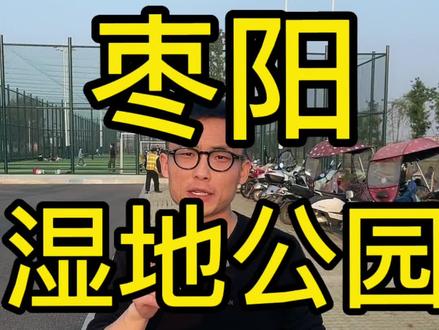 大半枣阳人都不知道这里!#枣阳 #同城热门 #PS5 #上门回收